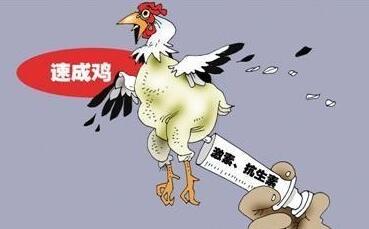 獸藥殘留 獸藥殘留